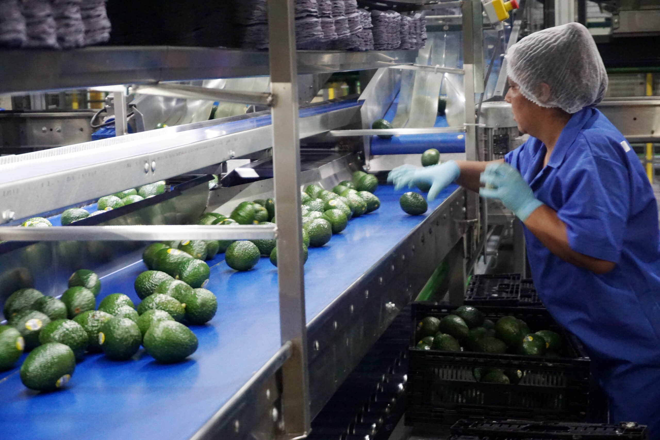 Refrendan México y Japón exportaciones de aguacate y cárnicos